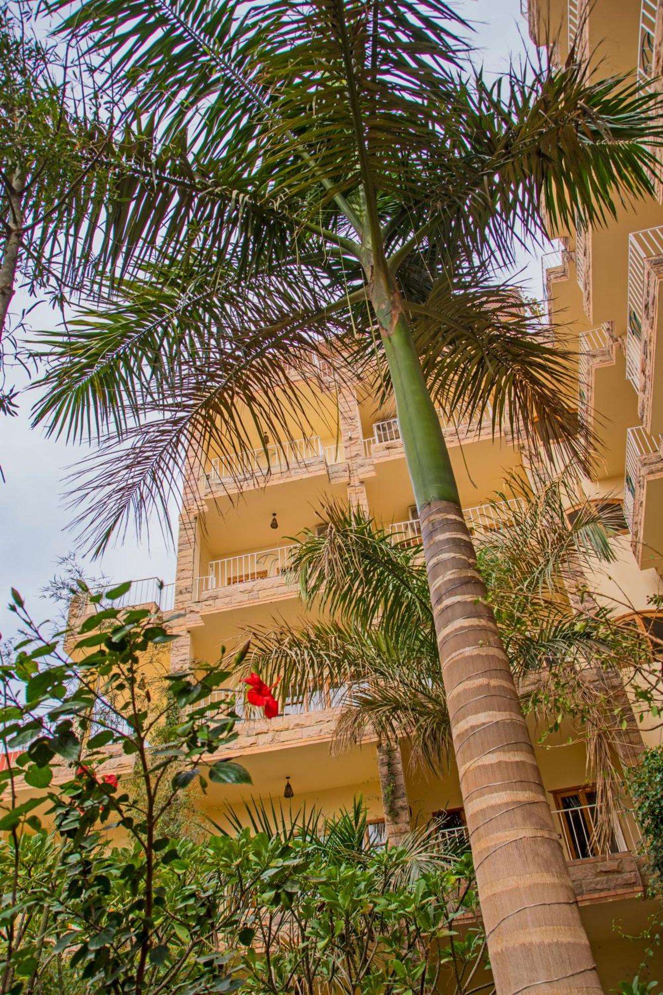 Thebes Hotel Λούξορ Εξωτερικό φωτογραφία