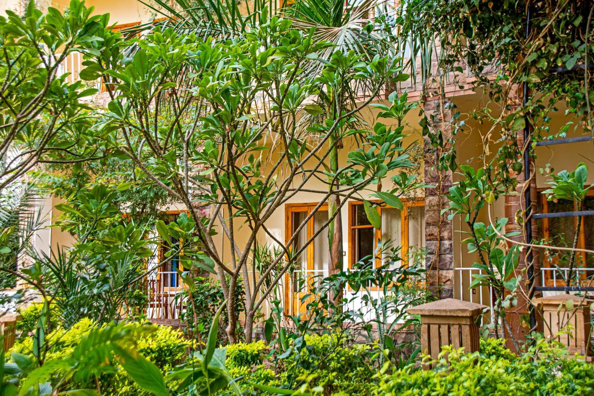 Thebes Hotel Λούξορ Εξωτερικό φωτογραφία